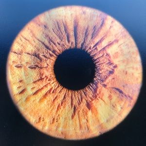 Meet your Posher, Britt